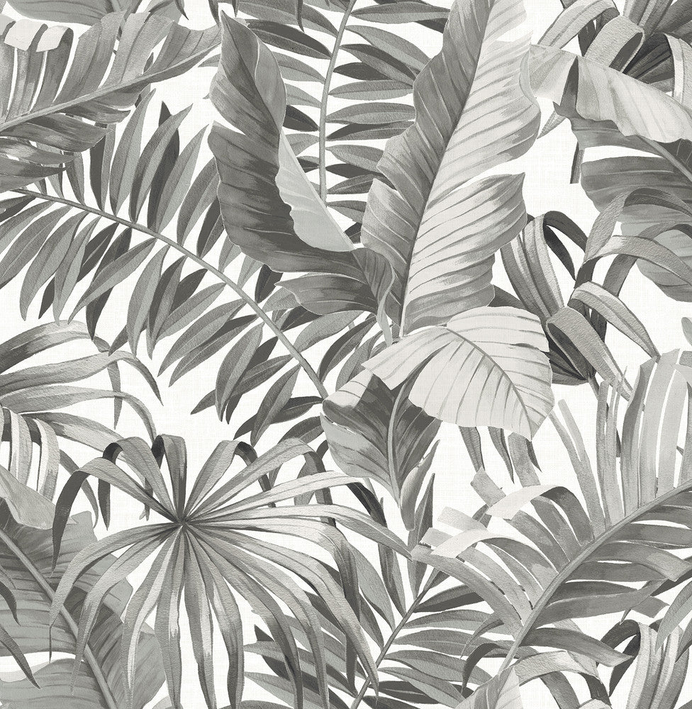 Alfresco Grey Tropical Palm Wallpaper by A-Street Prints Pacifica Covers about 56.4 square feet 20.5-in by 33-ft long roll Unpasted 21 - Fabric Carolina -