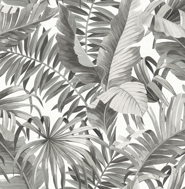 Alfresco Grey Tropical Palm Wallpaper by A-Street Prints Pacifica Covers about 56.4 square feet 20.5-in by 33-ft long roll Unpasted 21 - Fabric Carolina -