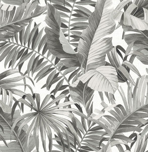 Alfresco Grey Tropical Palm Wallpaper by A-Street Prints