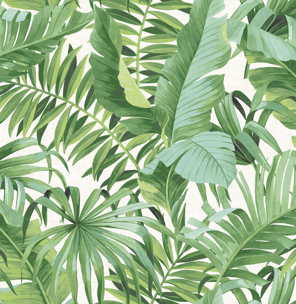 Alfresco Green Tropical Palm Wallpaper by A-Street Prints Pacifica Covers about 56.4 square feet 20.5-in by 33-ft long roll Unpasted 21 - Fabric Carolina -