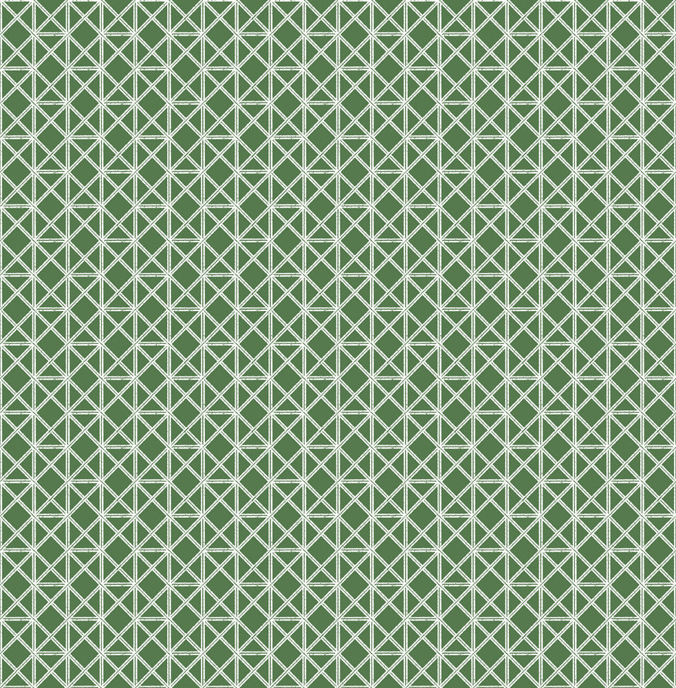 Lisbeth Green Geometric Lattice Wallpaper by A-Street Prints Pacifica Covers about 56.4 square feet 20.5-in by 33-ft long roll Unpasted 2.1 - Fabric Carolina -