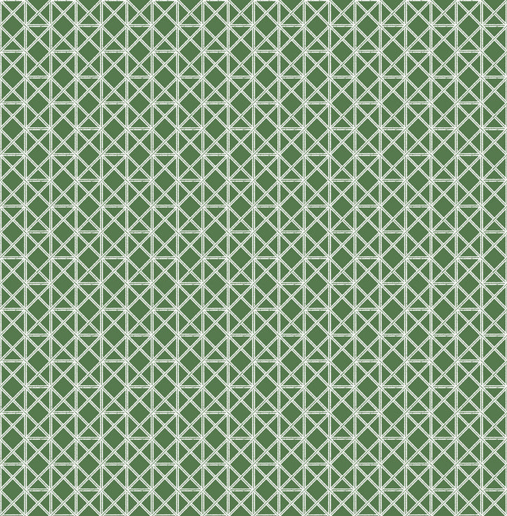 Lisbeth Green Geometric Lattice Wallpaper by A-Street Prints Pacifica Covers about 56.4 square feet 20.5-in by 33-ft long roll Unpasted 2.1 - Fabric Carolina -