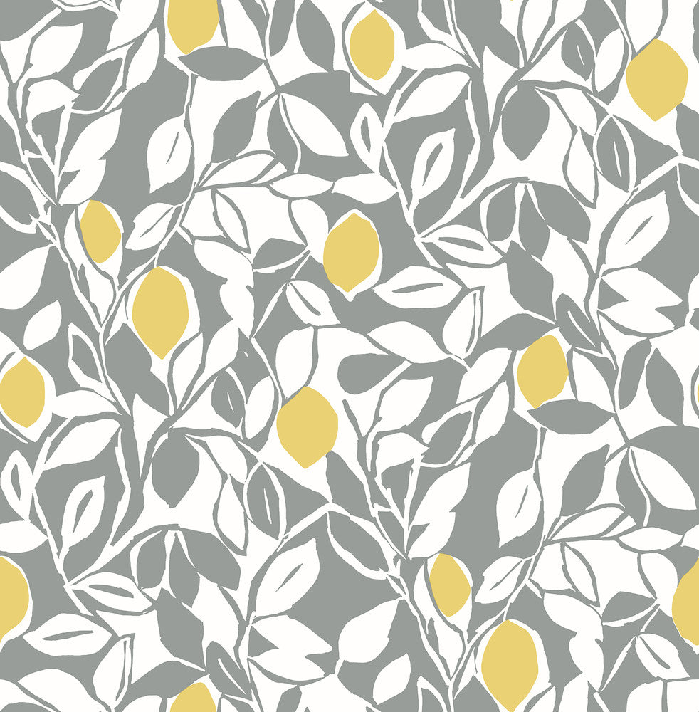 Loretto Grey Citrus Wallpaper by A-Street Prints Pacifica Covers about 56.4 square feet 20.5-in by 33-ft long roll Unpasted 20.8 - Fabric Carolina -
