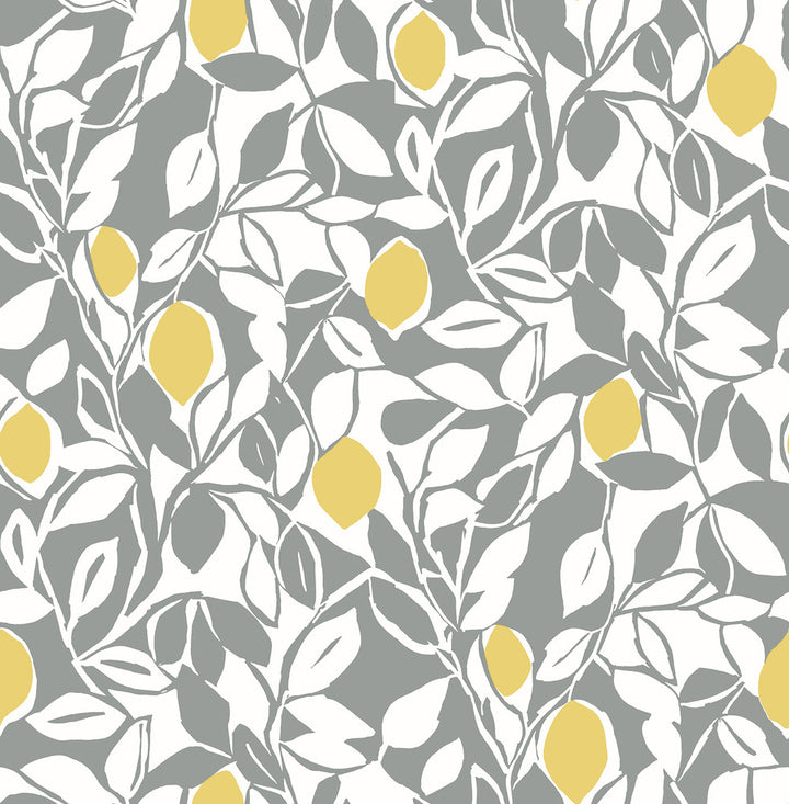 Loretto Grey Citrus Wallpaper by A-Street Prints Pacifica Covers about 56.4 square feet 20.5-in by 33-ft long roll Unpasted 20.8 - Fabric Carolina -