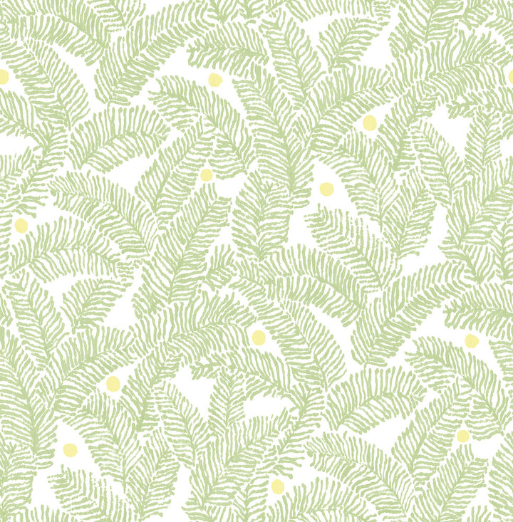 Athina Sage Fern Wallpaper by A-Street Prints Pacifica Covers about 56.4 square feet 20.5-in by 33-ft long roll Unpasted 20.8 - Fabric Carolina -