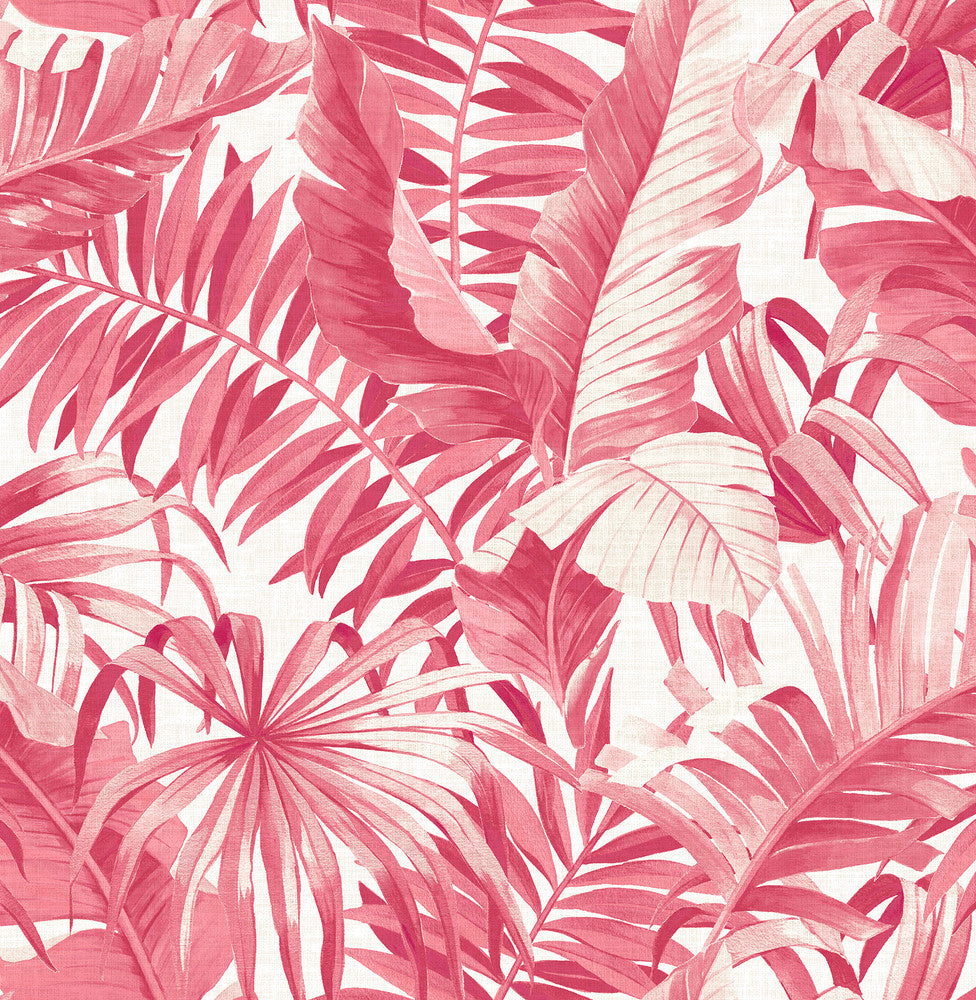Alfresco Pink Tropical Palm Wallpaper by A-Street Prints Pacifica Covers about 56.4 square feet 20.5-in by 33-ft long roll Unpasted 20.8 - Fabric Carolina -
