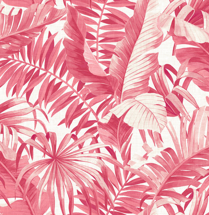 Alfresco Pink Tropical Palm Wallpaper by A-Street Prints Pacifica Covers about 56.4 square feet 20.5-in by 33-ft long roll Unpasted 20.8 - Fabric Carolina -