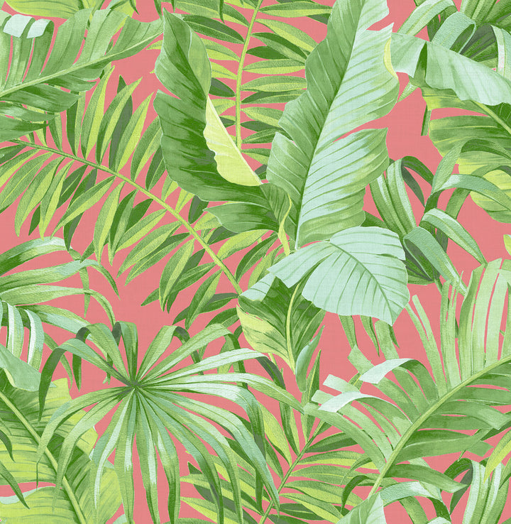Alfresco Coral Tropical Palm Wallpaper by A-Street Prints Pacifica Covers about 56.4 square feet 20.5-in by 33-ft long roll Unpasted 20.8 - Fabric Carolina -