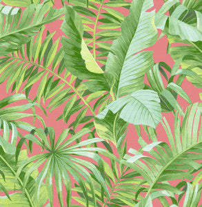 Alfresco Coral Tropical Palm Wallpaper by A-Street Prints