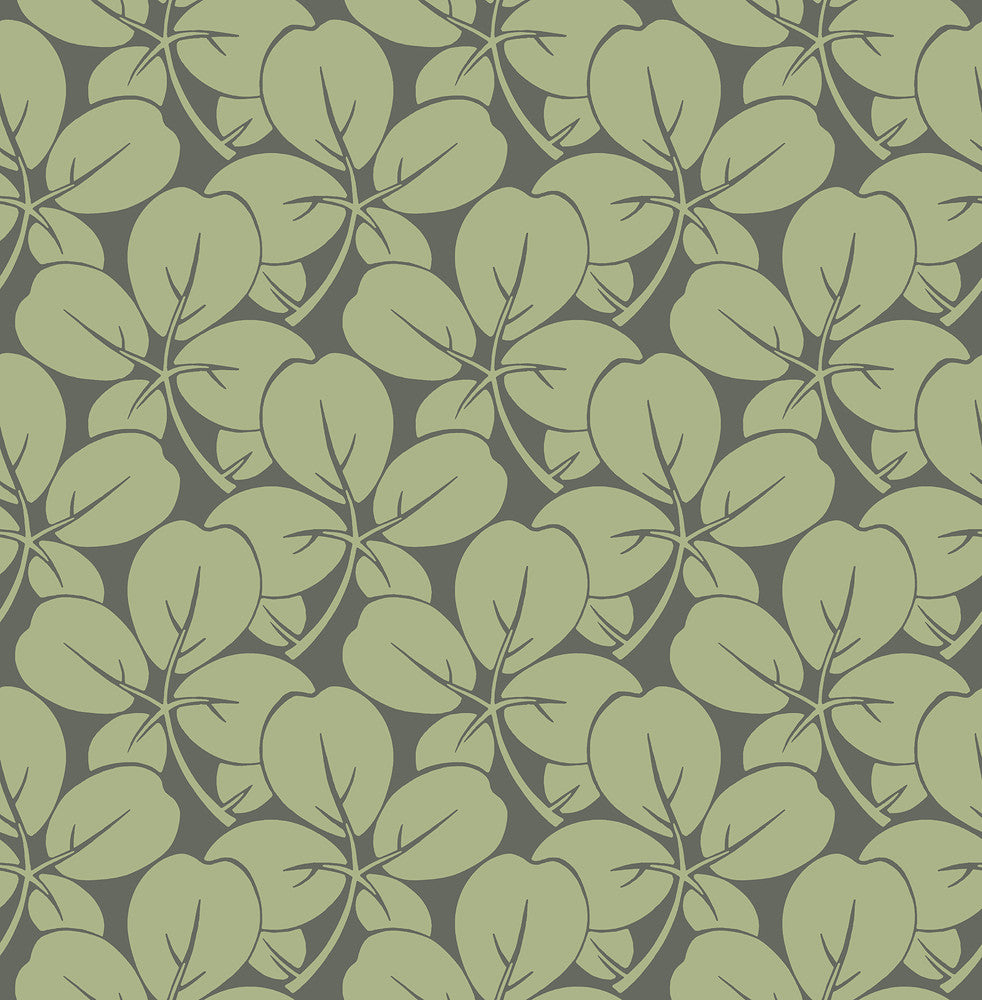 Robert Green Clover Wallpaper by A-Street Prints Revival Covers about 56.4 square feet 20.5-in by 33-ft long roll Unpasted 6.8 - Fabric Carolina -