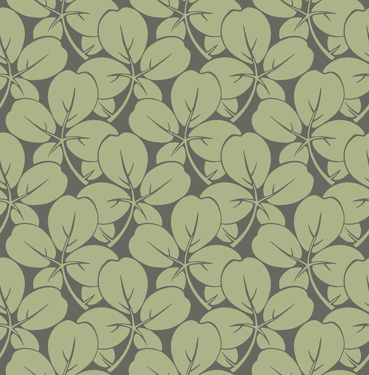 Robert Green Clover Wallpaper by A-Street Prints Revival Covers about 56.4 square feet 20.5-in by 33-ft long roll Unpasted 6.8 - Fabric Carolina -