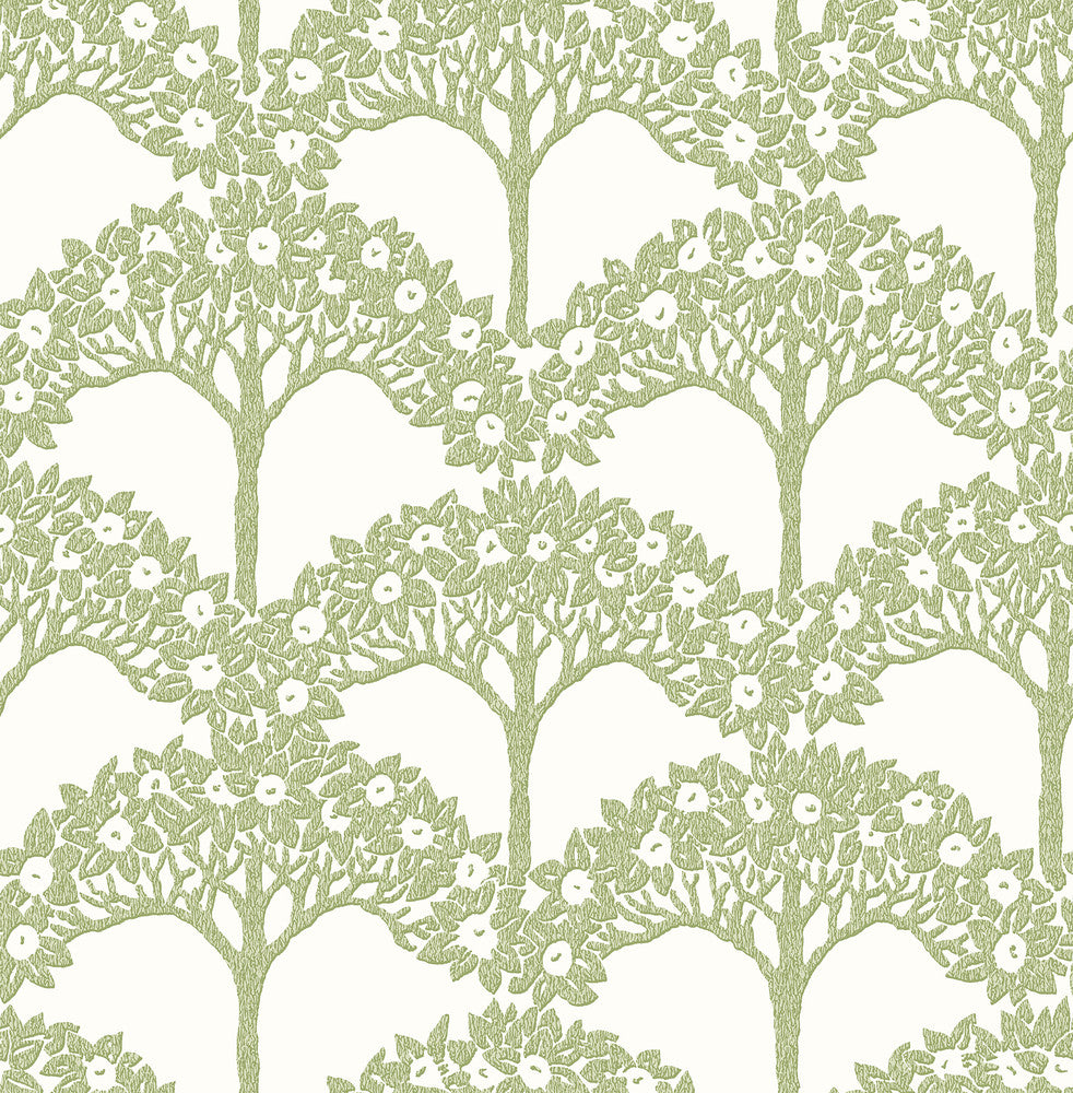 Dawson Green Magnolia Tree Wallpaper by A-Street Prints Revival Covers about 56.4 square feet 20.5-in by 33-ft long roll Unpasted 20.9 - Fabric Carolina -