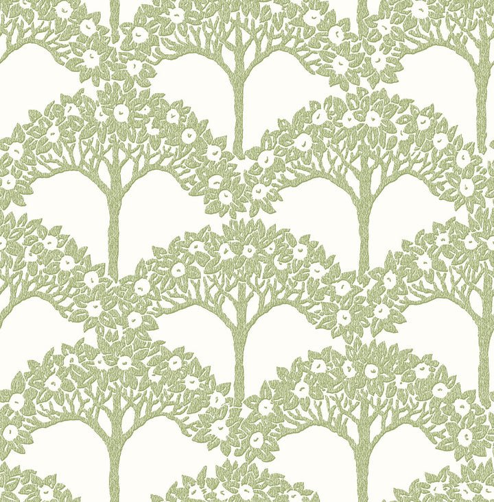 Dawson Green Magnolia Tree Wallpaper by A-Street Prints Revival Covers about 56.4 square feet 20.5-in by 33-ft long roll Unpasted 20.9 - Fabric Carolina -