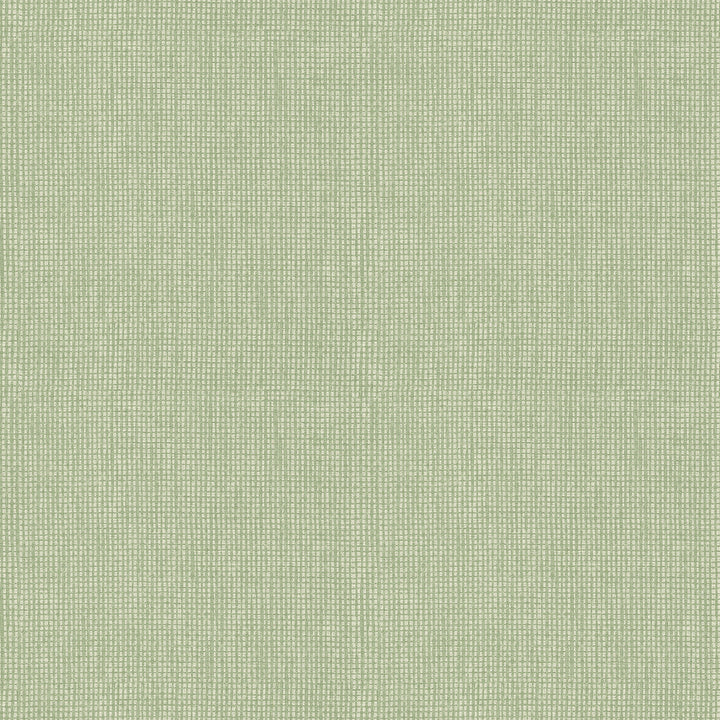 Dunstan Green Basketweave Wallpaper by A-Street Prints Dimensions Covers about 60.8 square feet 27-in by 27-ft long roll Unpasted 0 - Fabric Carolina -