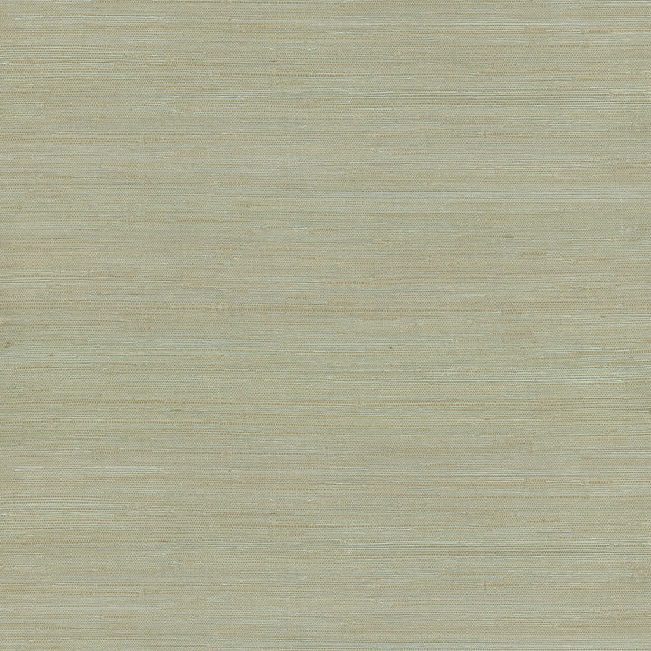Battan Mint Jute Grasscloth Wallpaper by A-Street Prints Loom Covers about 72 square feet 36-in by 24-ft long roll Unpasted 0 - Fabric Carolina -