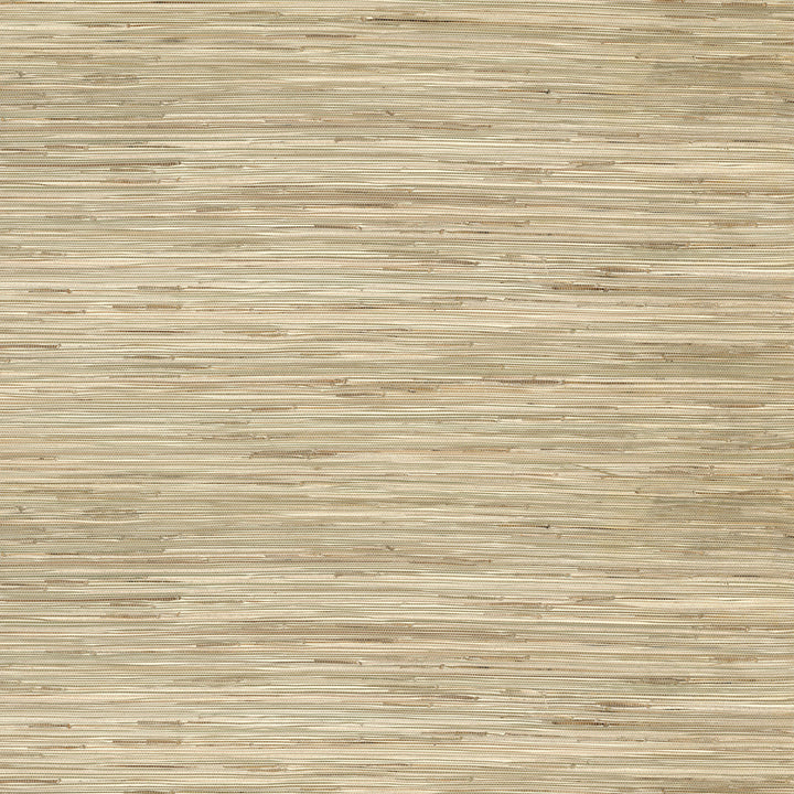 Sogen Khaki Knotted Sea Grasscloth Wallpaper by A-Street Prints Loom Covers about 72 square feet 36-in by 24-ft long roll Unpasted 0 - Fabric Carolina -