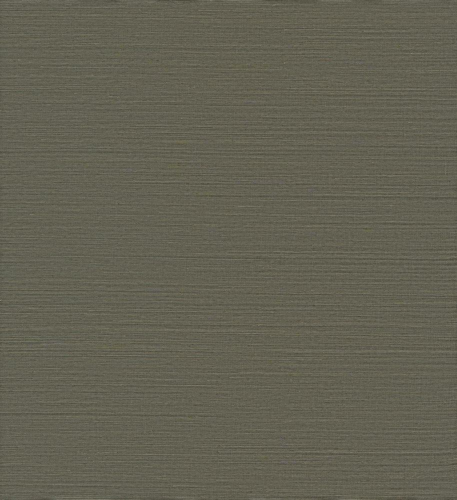 Caihon Green Sisal Grasscloth Wallpaper by A-Street Prints Loom Covers about 72 square feet 36-in by 24-ft long roll Unpasted 0 - Fabric Carolina -