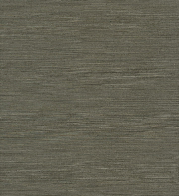 Caihon Green Sisal Grasscloth Wallpaper by A-Street Prints Loom Covers about 72 square feet 36-in by 24-ft long roll Unpasted 0 - Fabric Carolina -