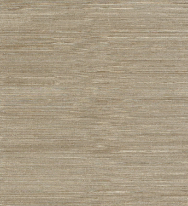 Sakiya Neutral Sisal Grasscloth Wallpaper by A-Street Prints Loom Covers about 72 square feet 36-in by 24-ft long roll Unpasted 0 - Fabric Carolina -