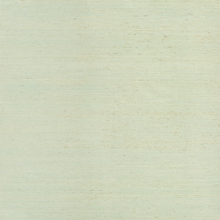 Sakiya Seafoam Sisal Grasscloth Wallpaper by A-Street Prints Loom Covers about 72 square feet 36-in by 24-ft long roll Unpasted 0 - Fabric Carolina -