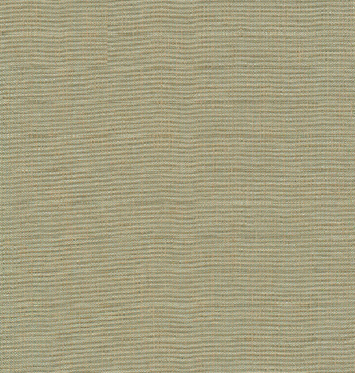 Yanyu Sage Paper Weave Grasscloth Wallpaper by A-Street Prints Loom Covers about 72 square feet 36-in by 24-ft long roll Unpasted 0 - Fabric Carolina -