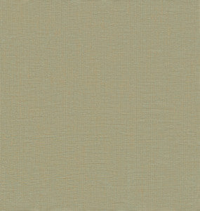 Yanyu Sage Paper Weave Grasscloth Wallpaper by A-Street Prints