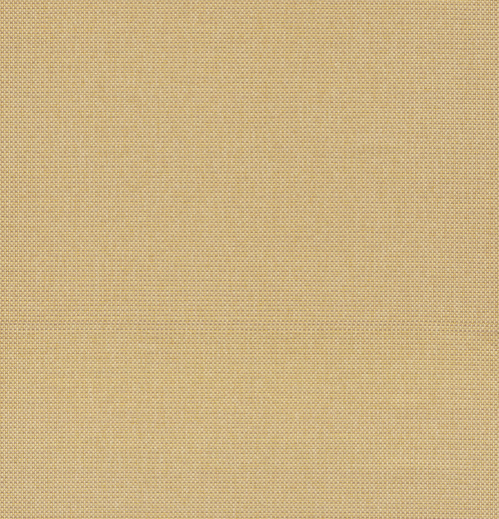 Maylin Gold Paper Weave Grasscloth Wallpaper by A-Street Prints Loom Covers about 72 square feet 36-in by 24-ft long roll Unpasted 0 - Fabric Carolina -