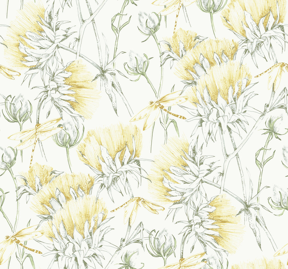 Mariell Gold Dragonfly Wallpaper by A-Street Prints Daylight Covers about 60.8 square feet 27-in by 27-ft long roll Unpasted 25.25 - Fabric Carolina -