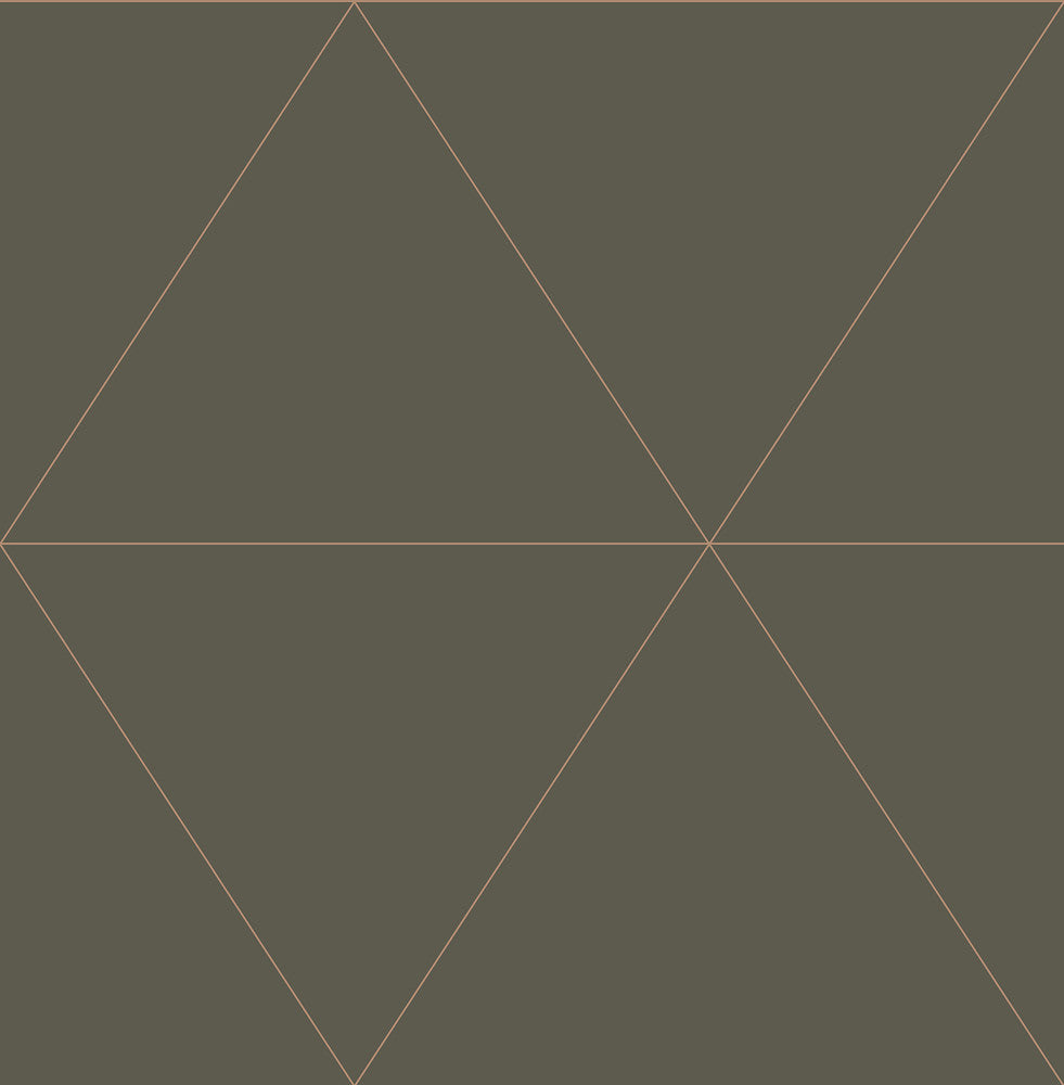 Twilight Grey Geometric Wallpaper by A-Street Prints Daylight Covers about 56.4 square feet 20.5-in by 33-ft long roll Unpasted 21 - Fabric Carolina -