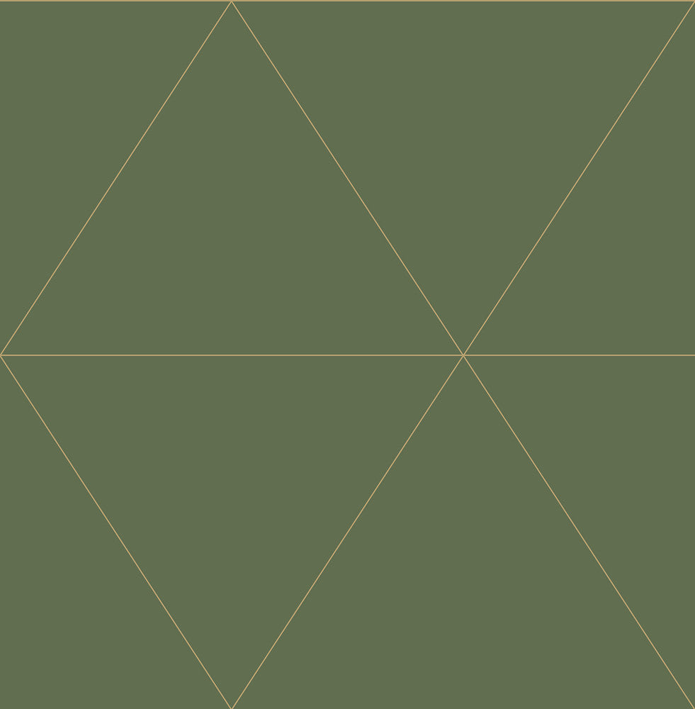 Twilight Moss Geometric Wallpaper by A-Street Prints Daylight Covers about 56.4 square feet 20.5-in by 33-ft long roll Unpasted 21 - Fabric Carolina -
