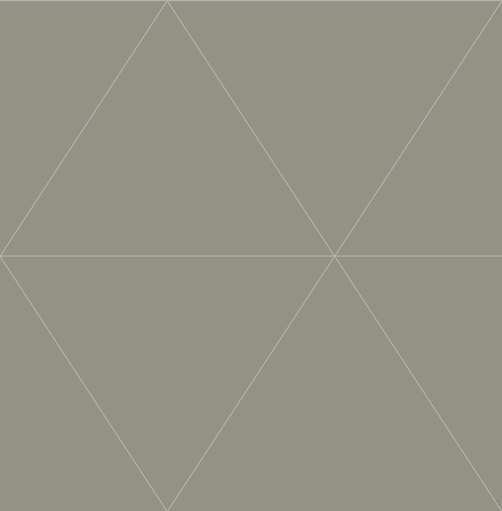 Twilight Silver Geometric Wallpaper by A-Street Prints Daylight Covers about 56.4 square feet 20.5-in by 33-ft long roll Unpasted 21 - Fabric Carolina -