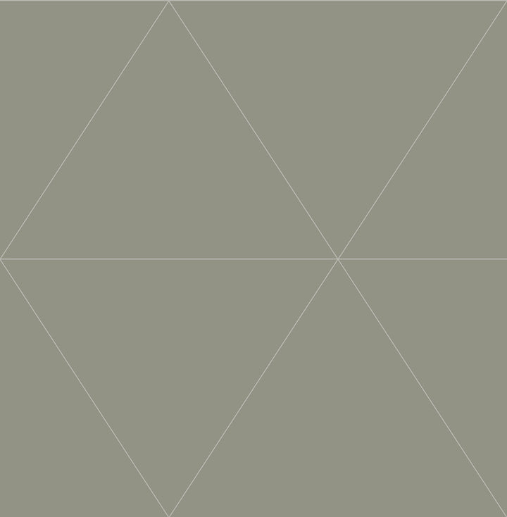 Twilight Silver Geometric Wallpaper by A-Street Prints Daylight Covers about 56.4 square feet 20.5-in by 33-ft long roll Unpasted 21 - Fabric Carolina -