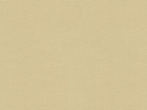 Kravet Design 29741-1116 by Kravet Design Fabric