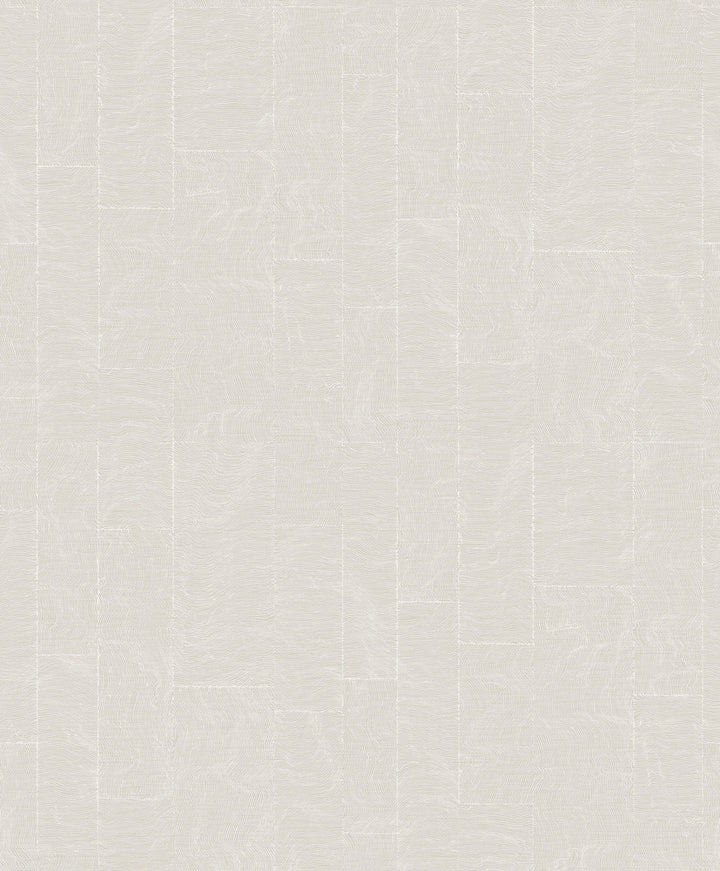 Khonsu Taupe Topography Wallpaper by A-Street Prints Grey Resource Covers about 57.5 square feet 20.9-in by 33-ft long roll Unpasted 25.2 - Fabric Carolina -