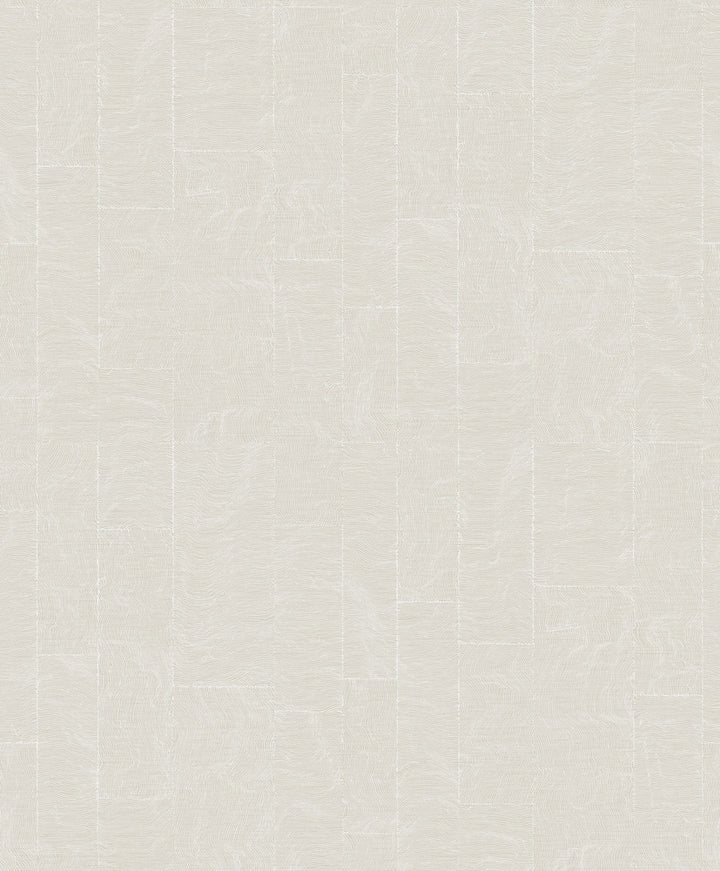 Khonsu Light Grey Topography Wallpaper by A-Street Prints Grey Resource Covers about 57.5 square feet 20.9-in by 33-ft long roll Unpasted 25.2 - Fabric Carolina -
