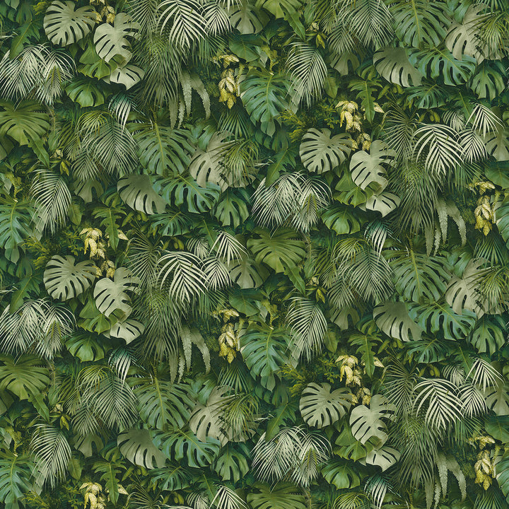 Luana Green Tropical Forest Wallpaper by Advantage Bali Covers about 57.8 square feet 21-in by 33-ft long roll Unpasted 20.8 - Fabric Carolina -