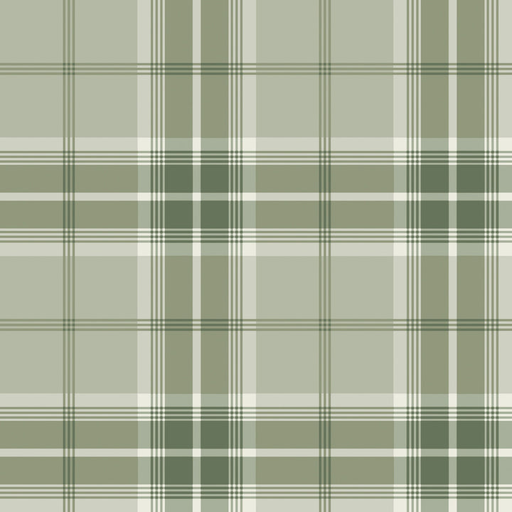 Sala Green Plaid Wallpaper by Advantage Splash Covers about 57.5 square feet 20.9-in by 33-ft long roll Unpasted 20.9 - Fabric Carolina -