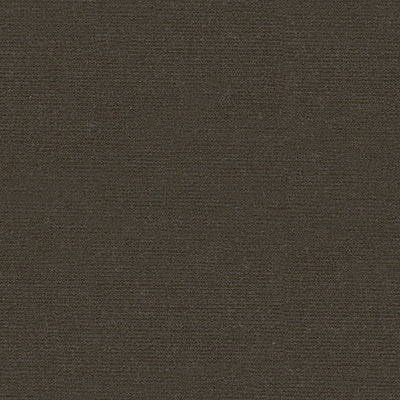 Endure Souris by Kravet Design Fabric