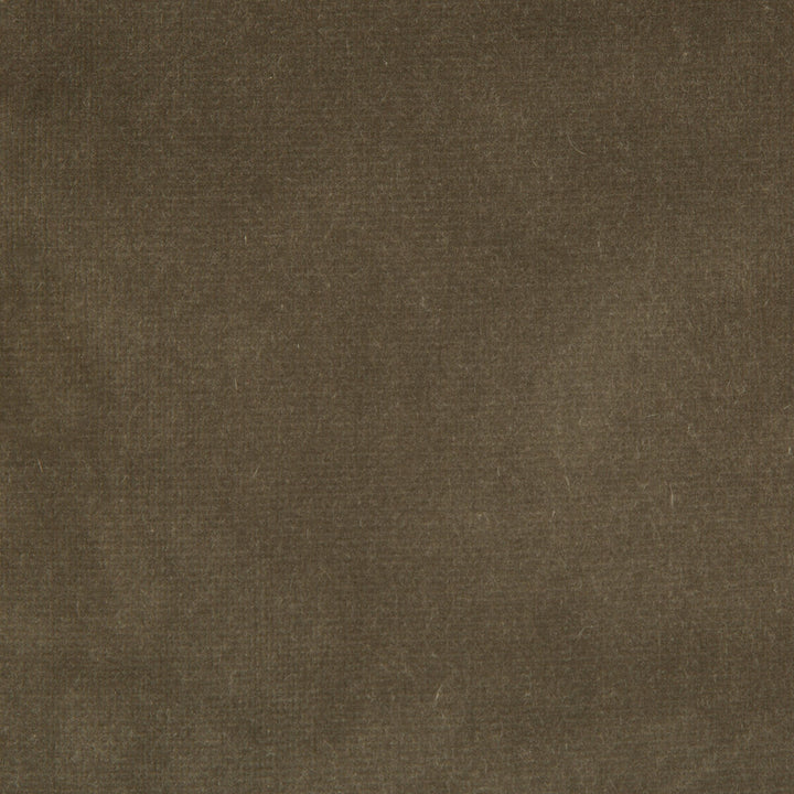 Endure Souris by Kravet Design Fabric Kravet Design Fabric Endure SourisFabric COTTON - 100% Netherlands </p><p>Repeat: H: 0, V: 0 54 - Fabric Carolina -