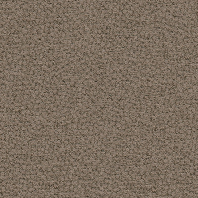 Behold Shale by Kravet Couture Fabric