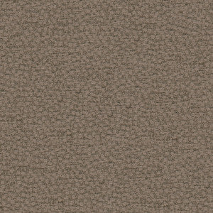 Behold Shale by Kravet Couture Fabric