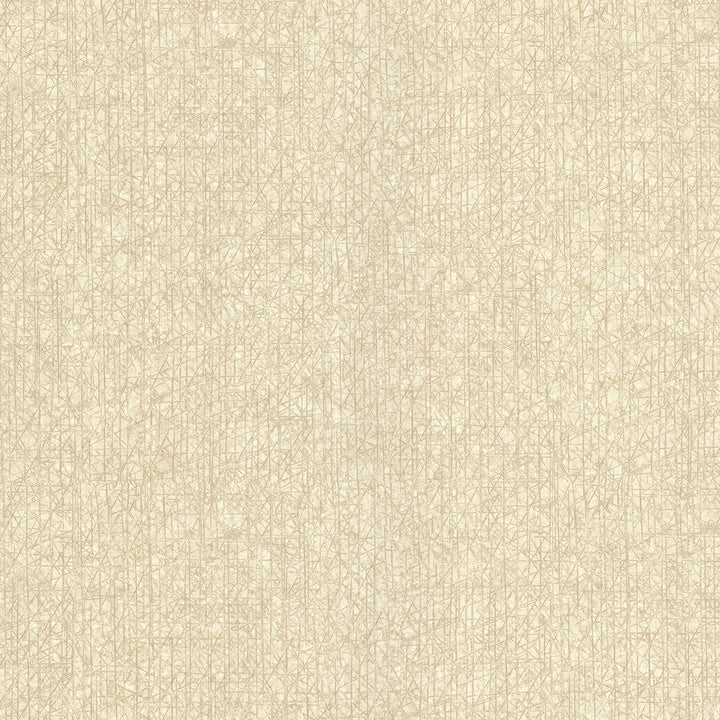 Nagano Taupe Distressed Texture Wallpaper by Warner Warner XI Naturals & Grasscloths Covers about 60.8 square feet 27-in by 27-ft long roll Unpasted 0 - Fabric Carolina -