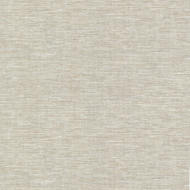 Cogon Taupe Distressed Texture Wallpaper by Warner Designer