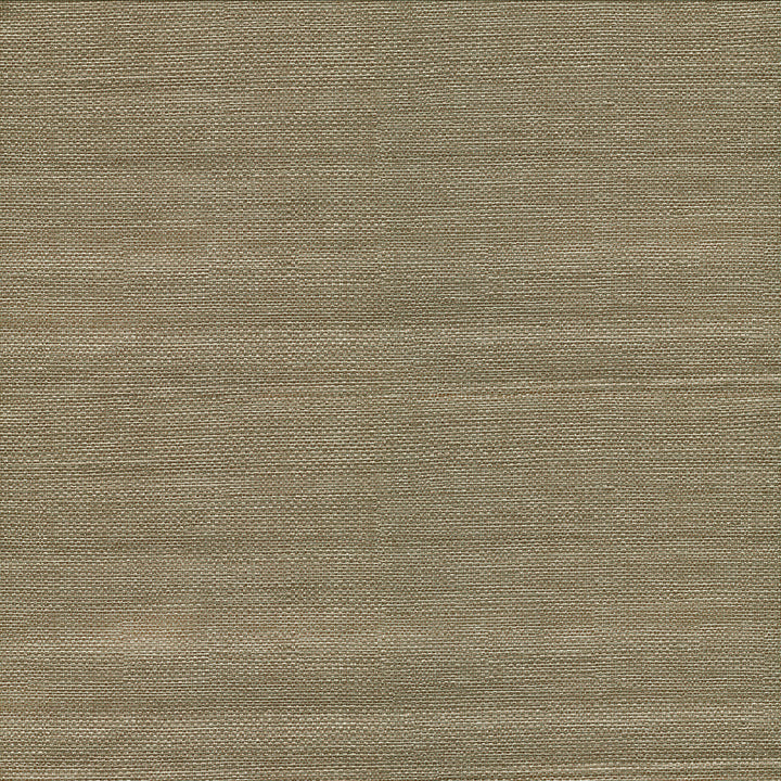 Bohemian Bling Olive Basketweave Wallpaper by Warner Warner XI Naturals & Grasscloths Covers about 60.8 square feet 27-in by 27-ft long roll Unpasted 0 - Fabric Carolina -