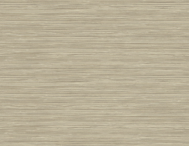 Bondi Beige Grasscloth Texture Wallpaper by Warner Warner XI Naturals & Grasscloths Covers about 60.8 square feet 27-in by 27-ft long roll Unpasted 0 - Fabric Carolina -