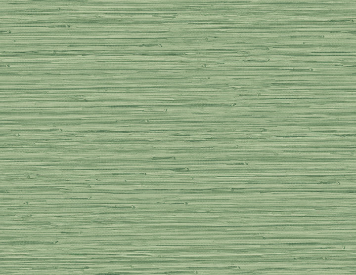 Rushmore Green Faux Grasscloth Wallpaper by A-Street Prints Inlay Covers about 60.8 square feet 27-in by 27-ft long roll Unpasted 20.9 - Fabric Carolina -