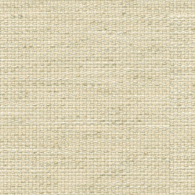 Arata Bisque by Kravet Basics Fabric