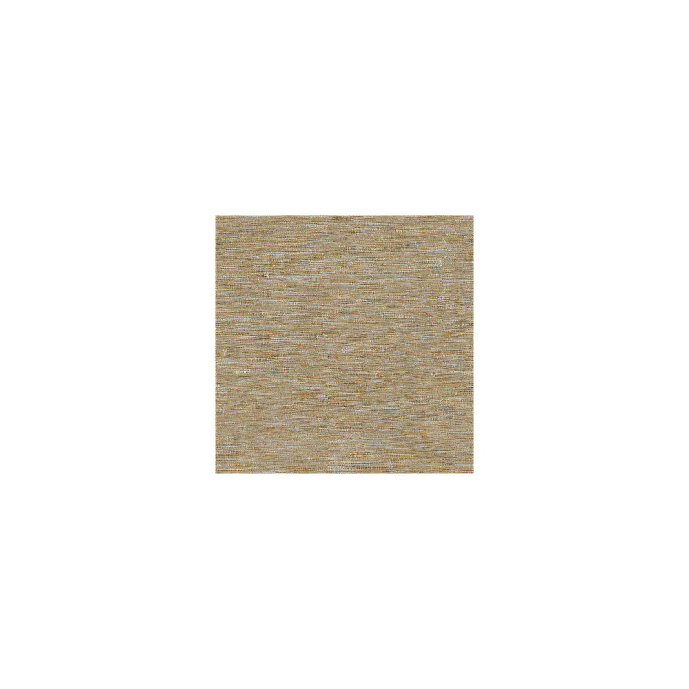 Sendal Porcini by Kravet Basics Fabric SILK - 100% India LIGHT Horizontal: 0 and Vertical: 0 54 - Fabric Carolina -