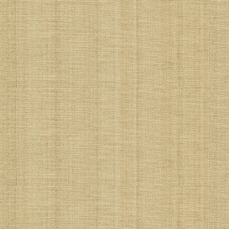 Sheath Sand by Kravet Couture Fabric