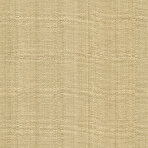 Sheath Sand by Kravet Couture Fabric